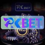 Pkbet profile picture