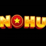 nohu900link Profile Picture