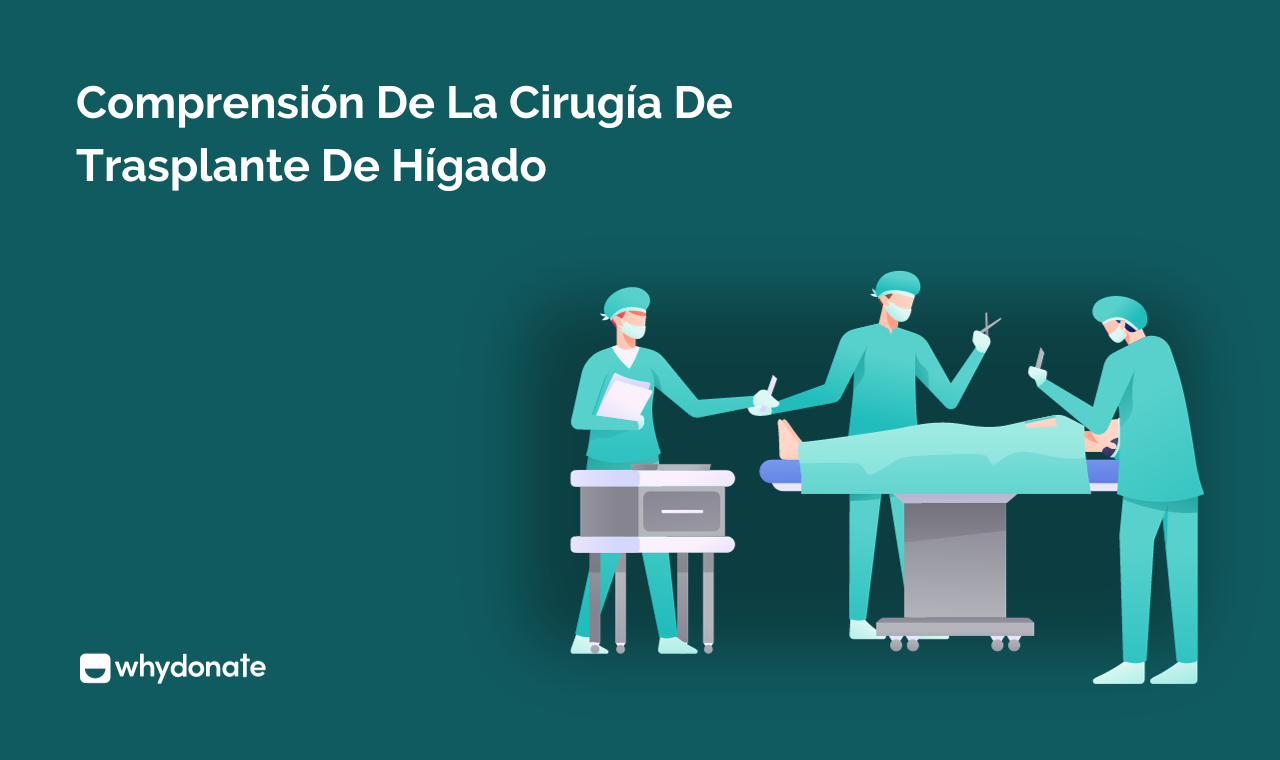 Cirugía De Trasplante De Hígado: Cómo Funciona Y Cómo Pagarlo?