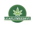 Leafly WeedNYC profile picture