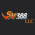 sv388llcweb Profile Picture