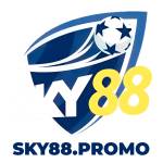 Sky88 Promo Profile Picture