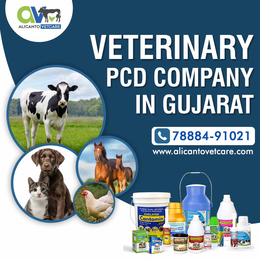 Veterinary PCD Company in Gujarat - Alicanto Vetcare