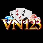 Vn123 bid Profile Picture