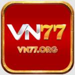 Vn77 profile picture