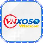 VNSOXO Casino Profile Picture