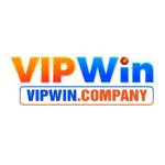 vipwin company Profile Picture