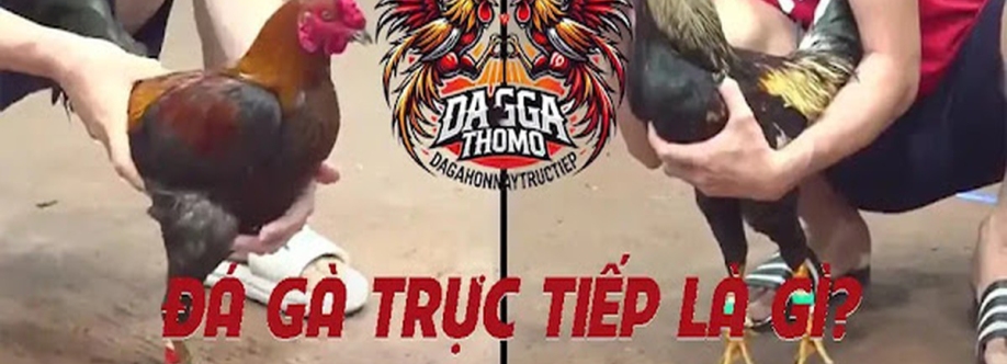 Đá Gà Thomo Trực Tiếp Cover Image