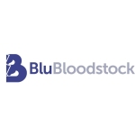 Blu Bloodstock Profile Picture