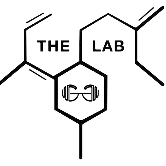 Plans & Pricing | The Lab Training Studio