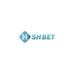 shbet8 ltd Profile Picture