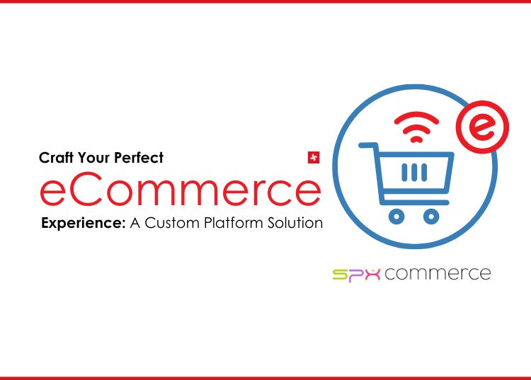 Craft Perfect eCommerce Experience: A Custom Platform Solution