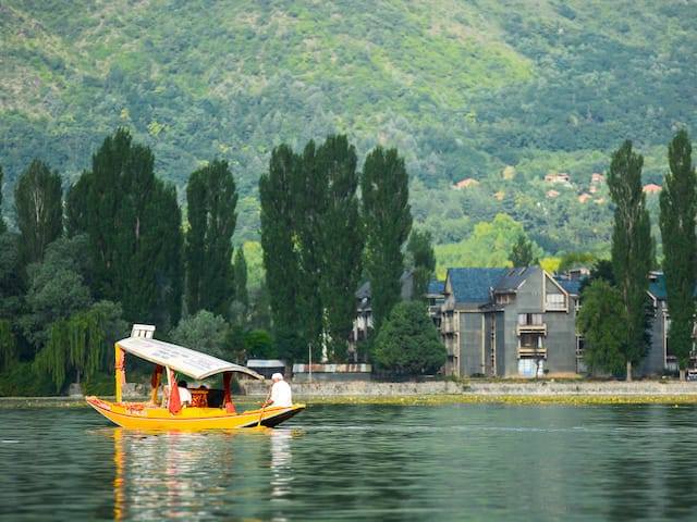 #1 Travel Agents in Kashmir | Best Tour Agency in Srinagar