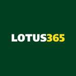 Lotus365 bet Profile Picture