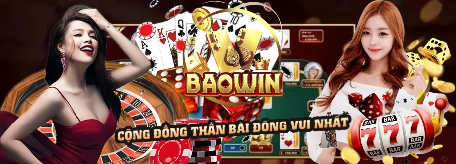 BAOWIN tech Cover Image