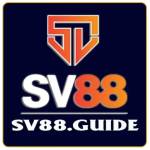 SV88 Profile Picture