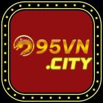 95VN Profile Picture