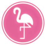 Flamingo Bus Miami Profile Picture