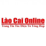 Lào cai online profile picture