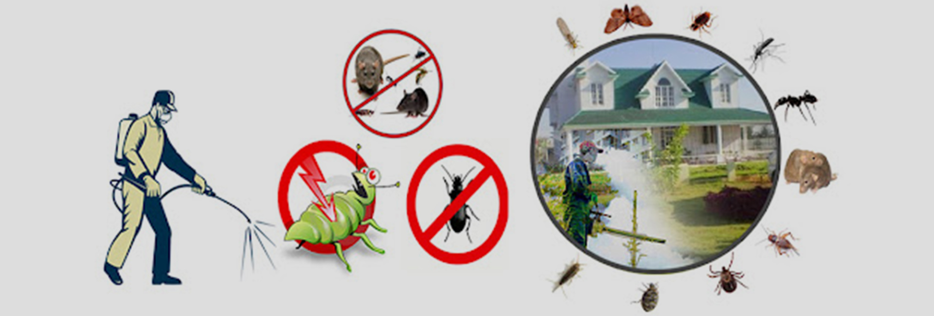 Comprehensive Guide To Stinging Insects Removal In Inwood And Hewlett - Emperiortech