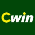 C WIN profile picture