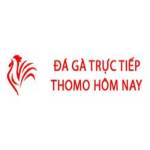 Đá Gà Trực Tiếp Thomo Hôm Nay profile picture