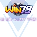 win79vn cheap profile picture