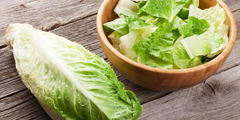 الخس | Lettuce - DR.Offers