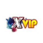 Xvip Beauty Profile Picture