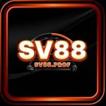 SV88 Prof Profile Picture