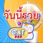 CAT888 Profile Picture