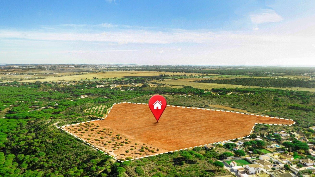 Why Plots near Gajraula are a Smart Investment for the Future