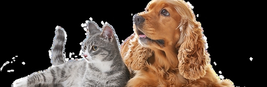 Super Vet Pet Clinic LLC Cover Image