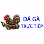 Đá Gà Trực Tiếp Profile Picture