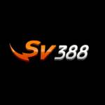 sv388 Profile Picture