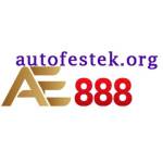 AE888 autofestek Profile Picture