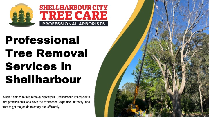 PPT - Professional Tree Removal Services in Shellharbour