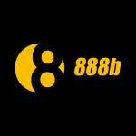 888b vn3 Profile Picture