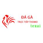 Đá Gà Trực Tiếp Thomo Hôm Nay Profile Picture