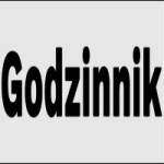 God zinnik Profile Picture