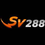 SV288 artt Profile Picture