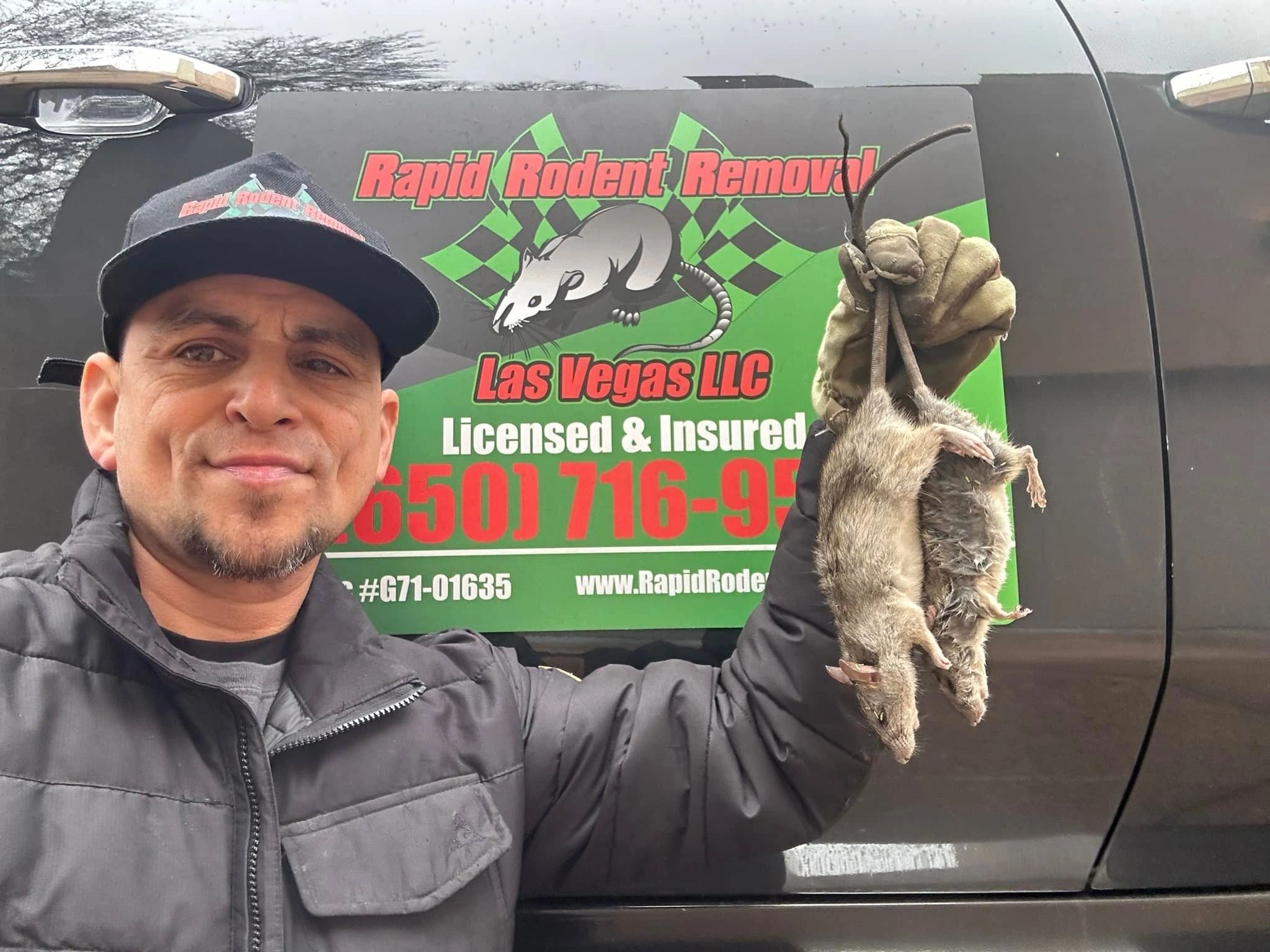 Professional Mouse & Rat Removal Services - Rapid Rodent Removal Las Vegas