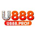 U 888 Profile Picture