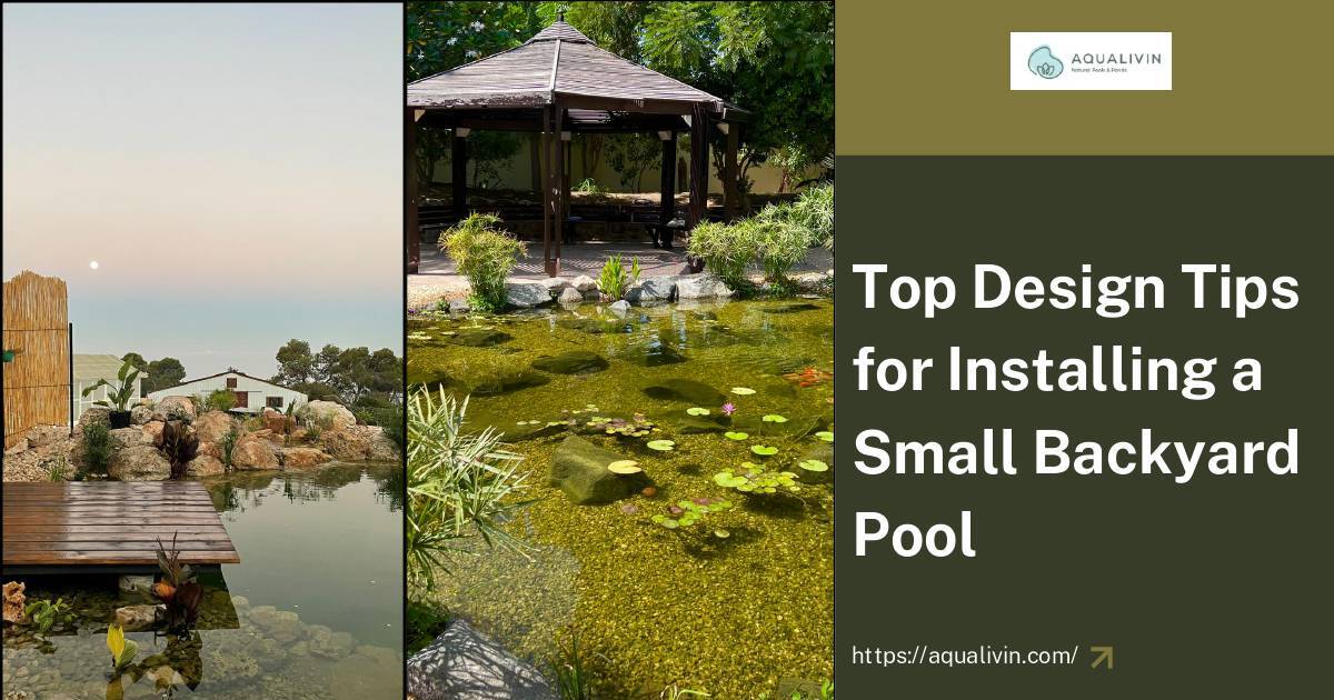 Top Design Tips for Installing a Small Backyard Pool | DocHub