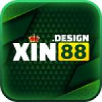 XIN88 design Profile Picture