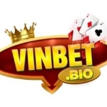 vinbetbio Profile Picture