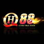 QH88 Navy Profile Picture