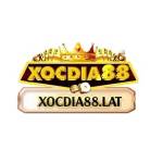 Xocdia88 Profile Picture