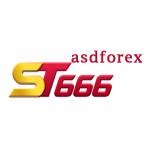 ST666 asdforex Profile Picture