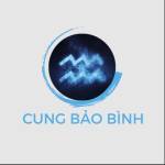 Cung Bảo Bình Profile Picture